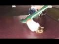 videos de B-BOY FRANKL1 @ RED BULL TAKE ONE 2008