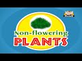 Learn about Plants in Hindi - Herbs