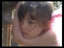 The Fairy The Fairy
