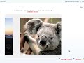 Live Rotator - Integration w/Live Gallery Live Rotator - Integration w/Live Gallery