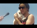 Alex Gaskarth plays with dog