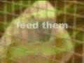 Parrot Zoo DVD Promo 2