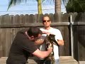 Filmmaking With Marty - Create Special Effects Filmmaking With Marty - Create Special Effects