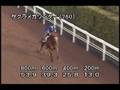 videos de [調教] 081008 サクラメガワンダー 「毎日王冠」前追い切り