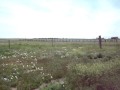 39370 CR 68, Briggsdale CO - $152,000! 39 acres PT 2