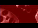 Ay!Carmen - operita flamenca