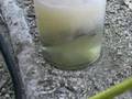 GENERADOR DE HIDROGENO CASERO - CON EXITO