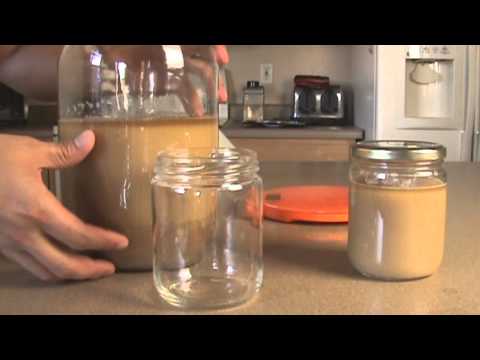 how to harvest beer yeast