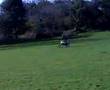 videos de first time on motor bike 2