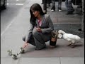funny pics funny pics