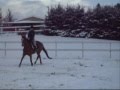 Chevaux.wmv