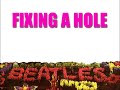 FIXING A HOLE - The Beatles (cover) FIXING A HOLE - The Beatles (cover)