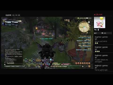 動画