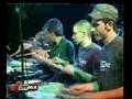 videos de stefano cavallo