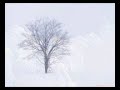 Hair looked like the snow(Hulusi solo)