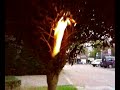 nog een rookbommeke...