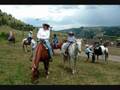 63 Ranch - Livingston, Montana