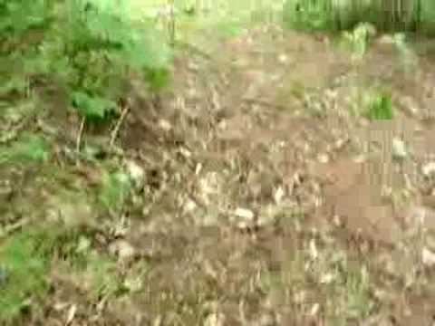 how to locate survey markers