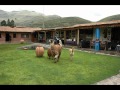 Peru Vacation