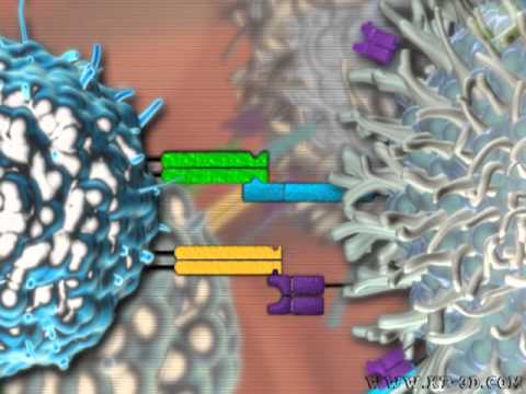 how to treat high nk cells