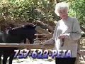 bea-arthur-and-her-opinion-of-george-bush.html