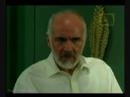 huracan capitulo 13 2