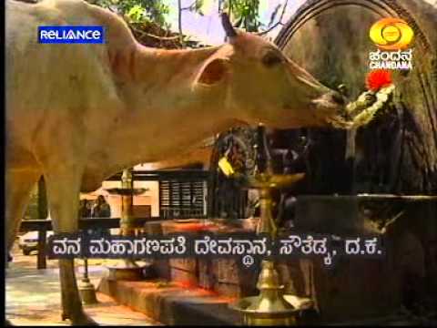 Kokkada - Southadka (a.k.a Sowthadka) is a pilgrimage centre located at a distance of 3 km from Kokkada in Belthangadi Taluk of Dakshina Kannada district. The uniquene...