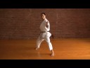 Highly Acclaimed DVD series for the study of Shotokan Karate by Richard Amos. You can purchase this DVD at www.amazon.com