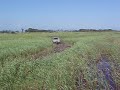 Land Cruiser 80.MOV