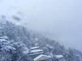 Snow Fall In Shimla