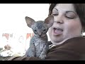 Sphynx 3 Sphynx 3