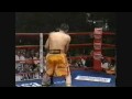 Dariusz Michalczewski vs Virgil Hill  [2/4]