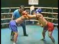 Box Tailand�s - Covardia