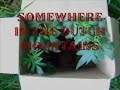420, Cannabis Dutch guerrilla's.....