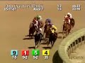 ARLINGTON PARK, 2007-05-17, Race 7