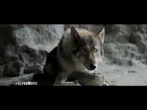 Watch Alpha 2018 Official HD Trailer Rolled Out | Adventure Movie