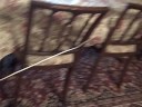 Nov 17 2008 - VID00043 Nov 17 2008 - VID00043