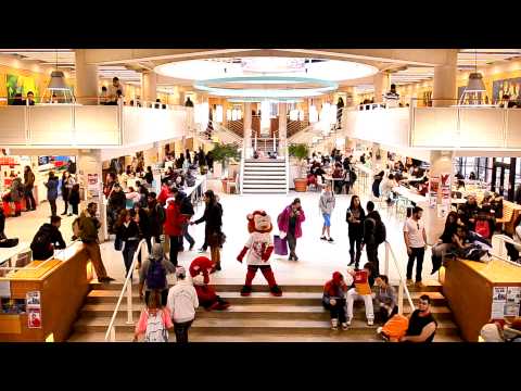 York University Harlem Shake