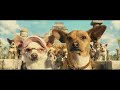 Una chihuahua de beverly hills