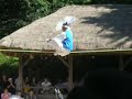 Korean tightrope walking tricks #3