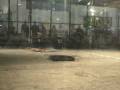 videos de Brutality vs. Full Smash - RG06