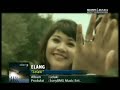 Elang - Lelaki