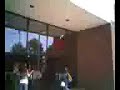 A pigeon acts like a bat at my school A pigeon acts like a bat at my school