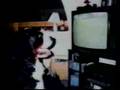 A VIDEO FOR YOUR DOG