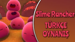 Slime Rancher : Türkçe Oynanış / Bölüm 3 - S