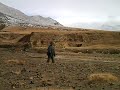 Tibetan Goat Herding