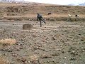 Tibetan Goat Herding