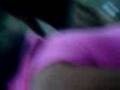 videos de cucarachas