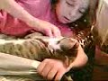 s�sser tommy  (evimizin nesesi)