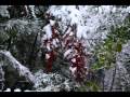 Stille Nacht mit Floete und Gitarre - Silent night with flute and guitar - Frohe Weihnachten